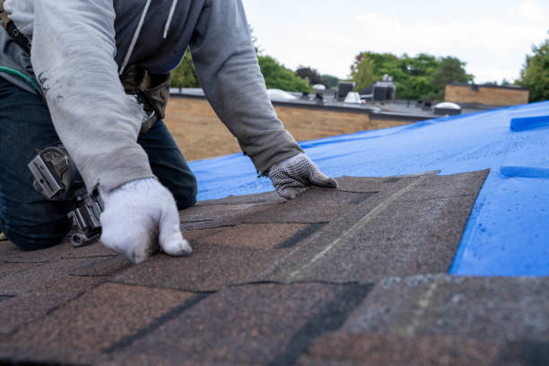 Best Roof Coating and Sealing  in Potomac Park, CA